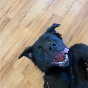 Meet your Posher, Ryan